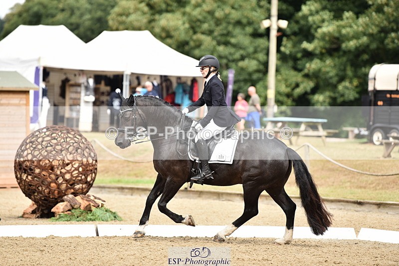 140109A-230934-08398 - 088-Carolyn.Galemully-brook.sylvester