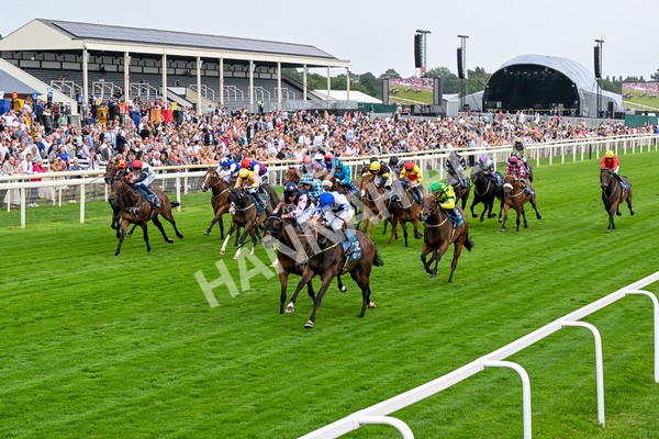 250725-Race 4-Dicko The Legend-0612 - Race 4 7.13pm Tomahawk Restaurants Handicap