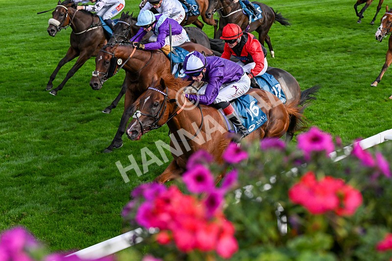 190826-Race 7-Henley On Thames-0799 - Race 7 17.20pm Sky Bet Nursery Handicap