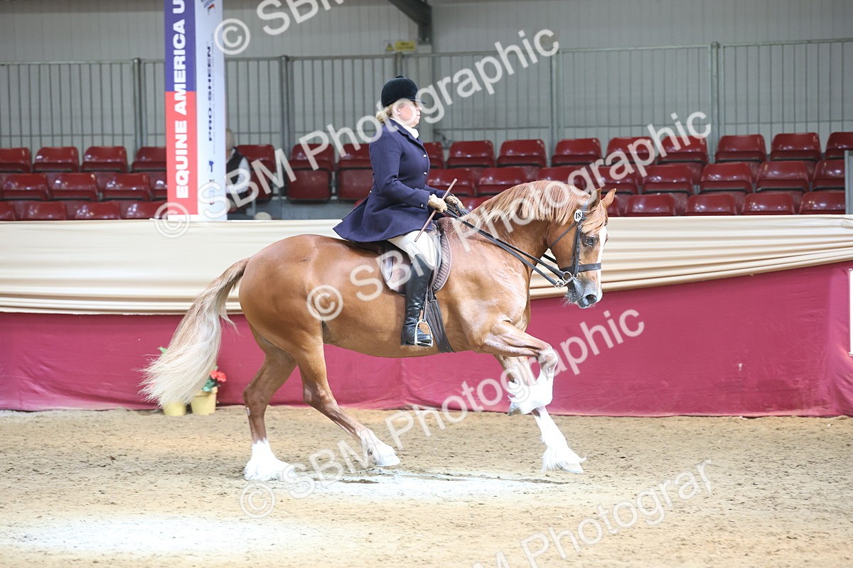 SBM_23740 - class 906 - Supreme Final - Ridden Pre Vet