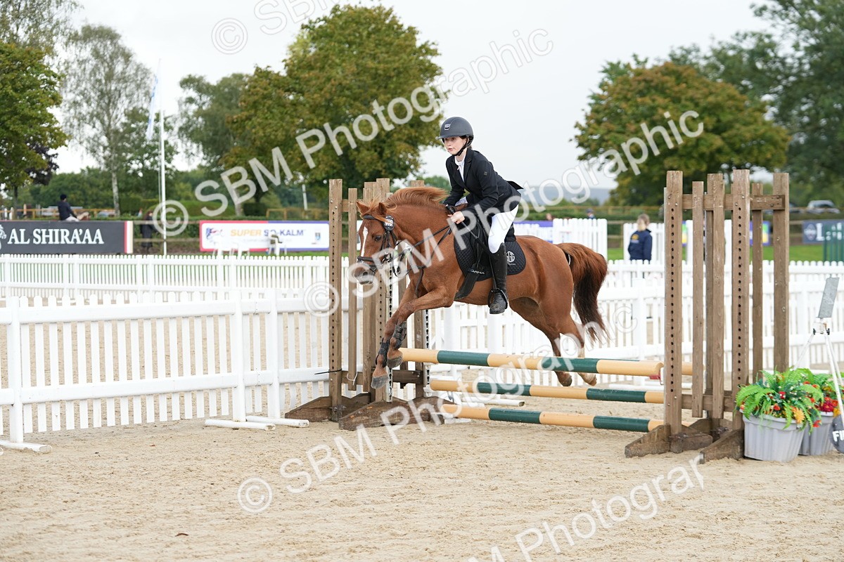 SBM_40021 - J6 - Junior Pony 55cm Championship