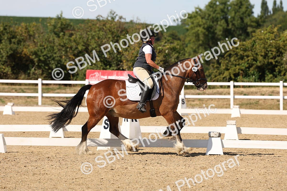 SBM_003796 - Elementary 4