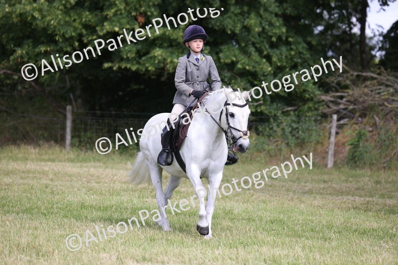 20260614-0557 - Class 20 - Beginners Working Hunter Pony