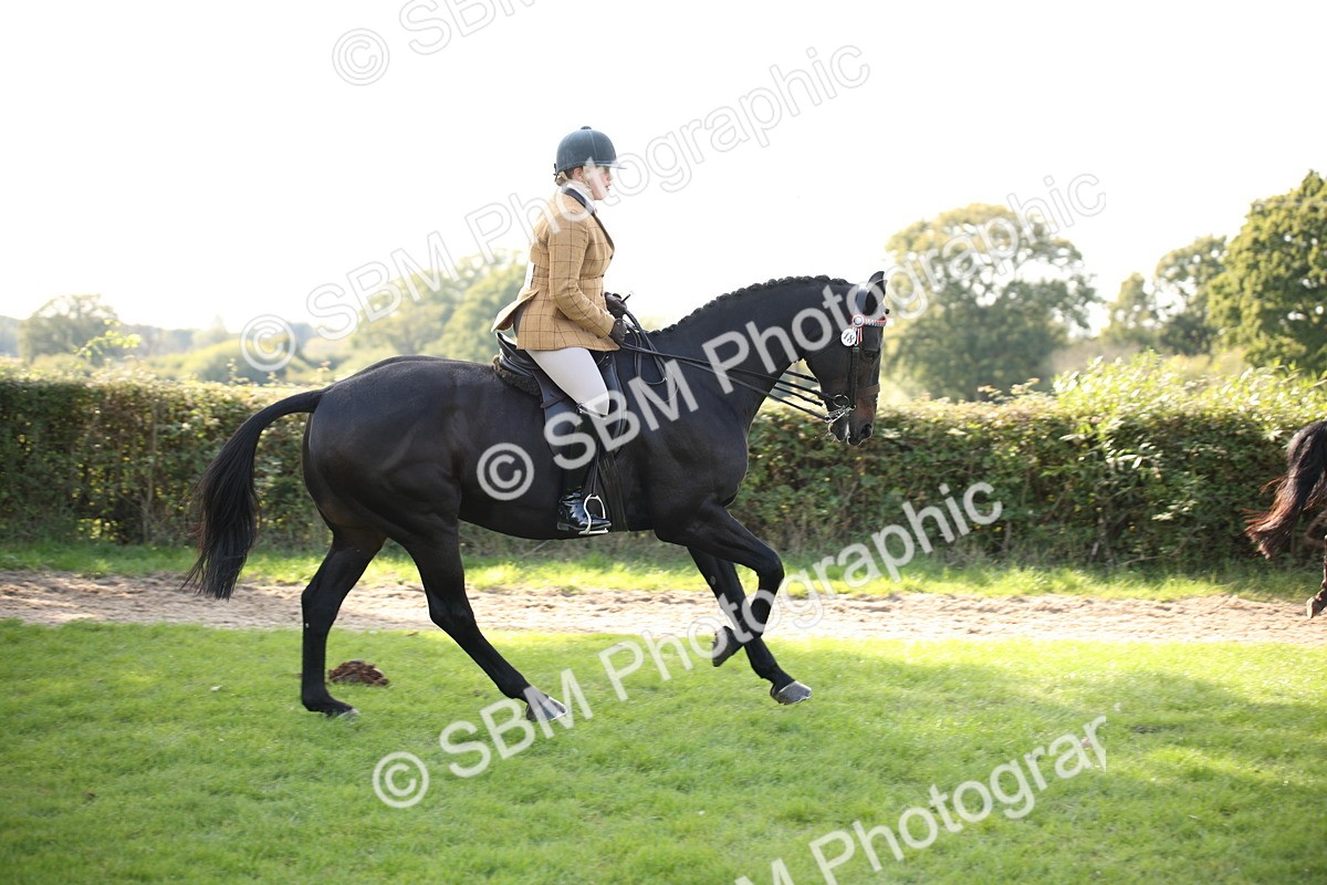 SBM_50123 - S26 - Young Veteran - Ridden