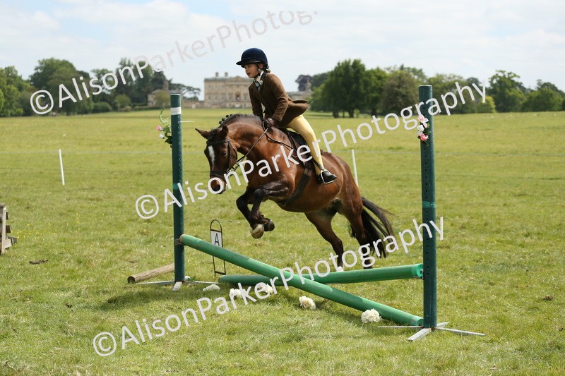 20250517-2904 - Class 25 - Horse & Hound