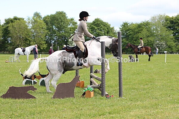 IMG_3231 - Working Hunter