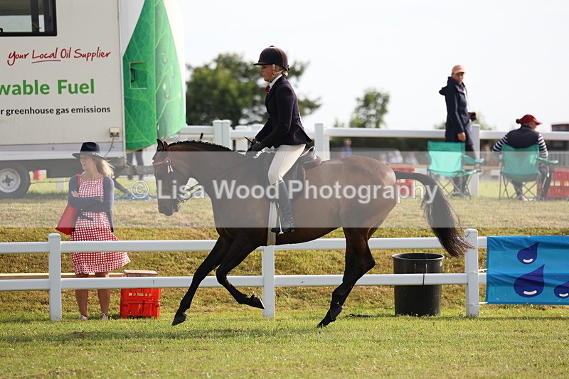 3E7A7753 - Class 1: Rising Star Small Hack/Riding Horses