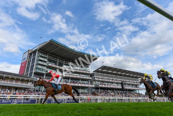 280723-Race 1-Tele Red-8725 - Race 1 5.00pm Pearly Cow Handicap