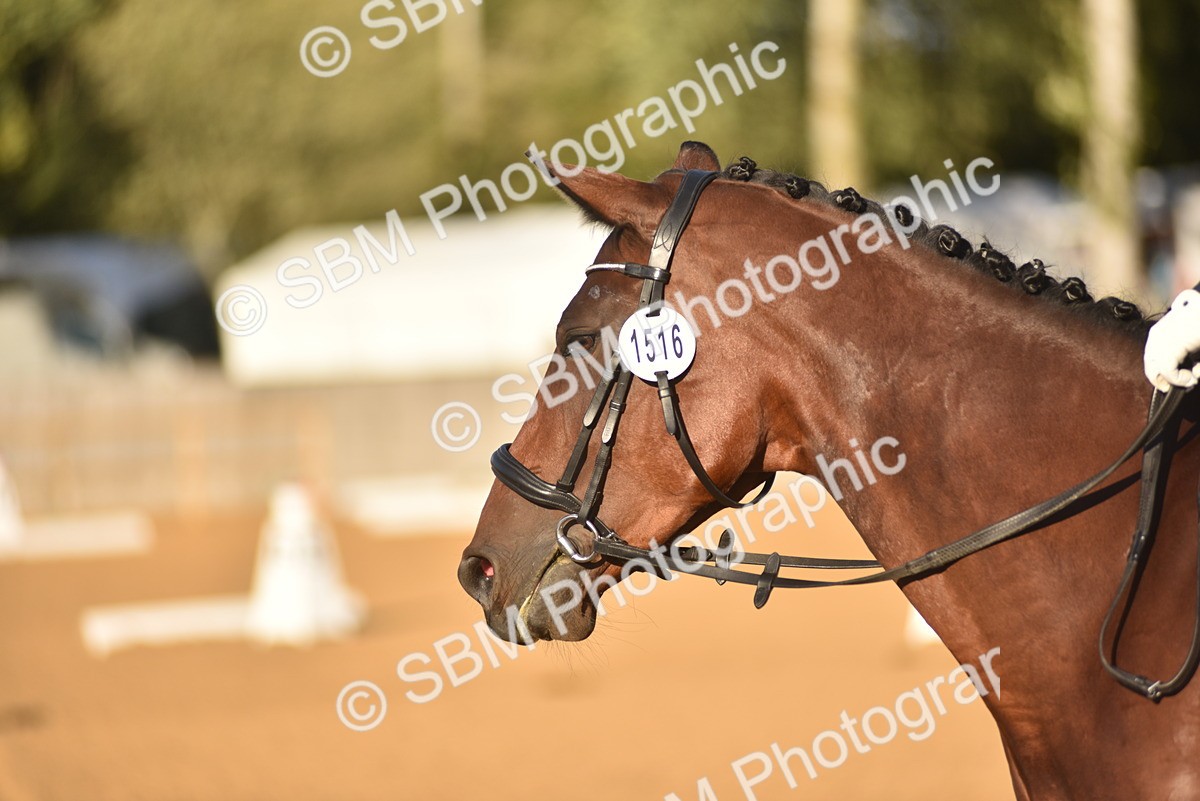 SBM_53379 - D24 - Junior Championship Prelim 3