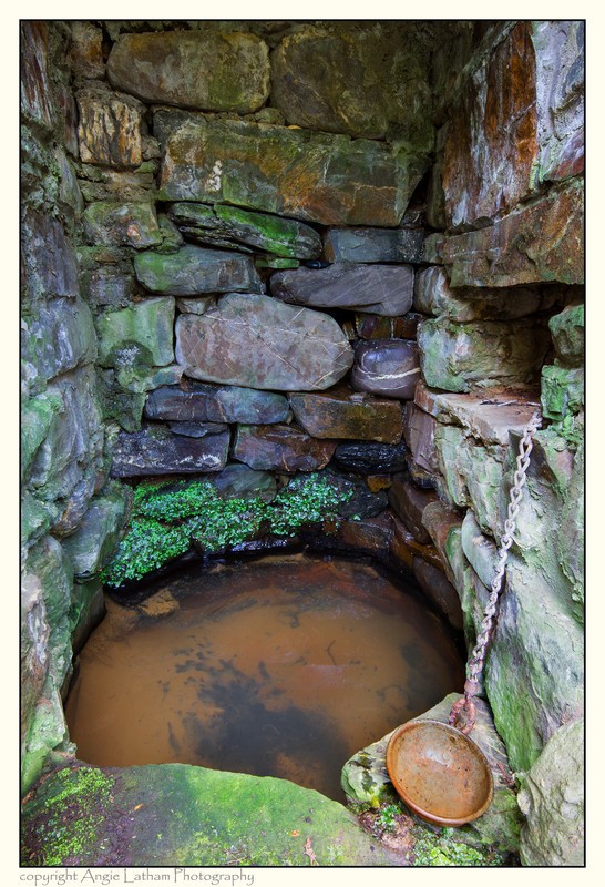 St.Neot's Well Cup 2 - Holy Wells and Sacred Springs