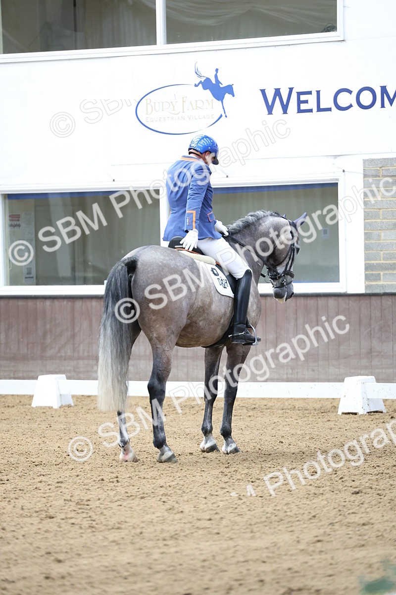 SBM_002102 - Class 5 - Novice 6 Gold - 9.00-10.10