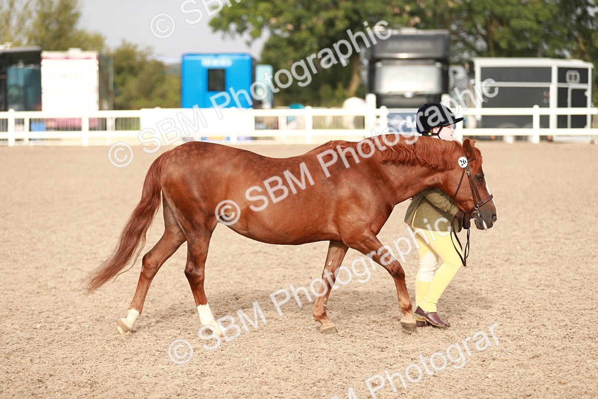SBM_09848 - Class 203 Young Handler, 10 years and under