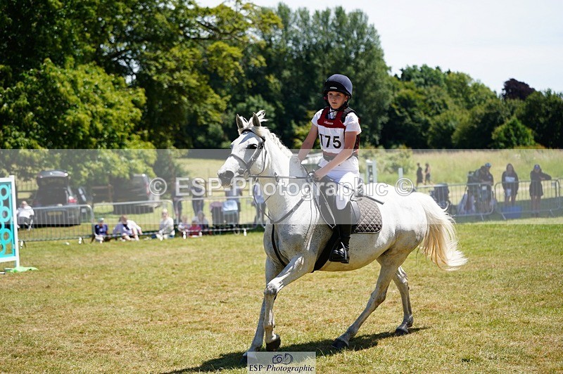 240629X-130300-5022 - 175-Isla_Davis-DELPHI