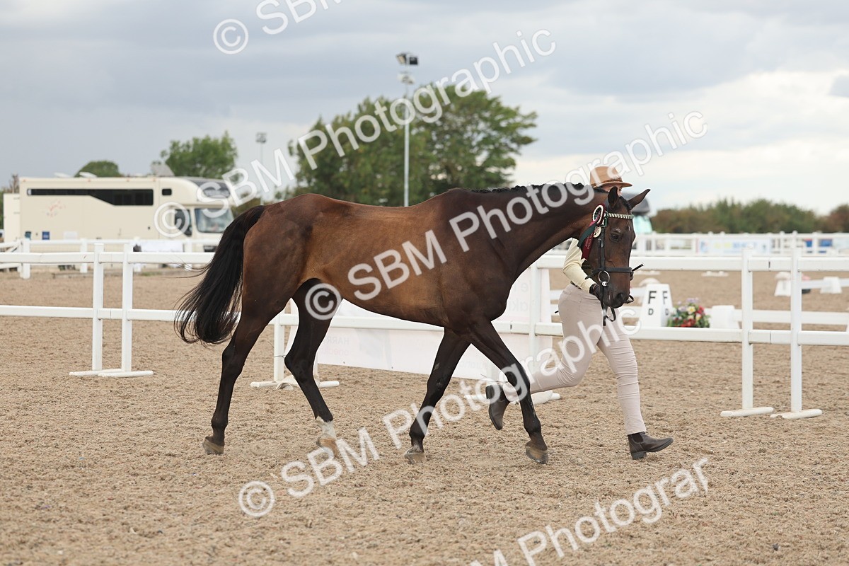 SBM_06948 - Class 25 - IH Foreign Breeds - Purebred