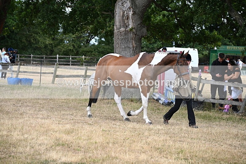 WJ6_8135 - Class 10 Coloured in Hand