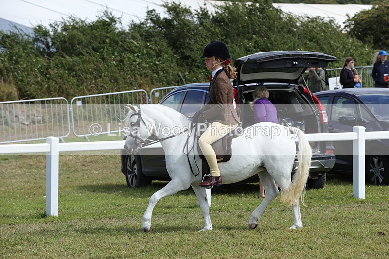 1X9A5723 - Class 40: NPS Welsh A & B