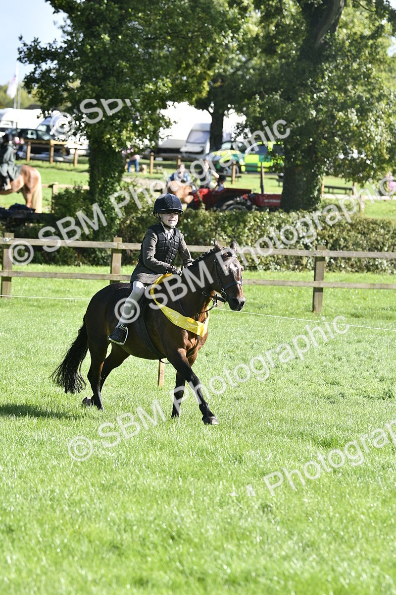 SBM_37253 - S31 - Novice & Newcomer Working Hunter Pony