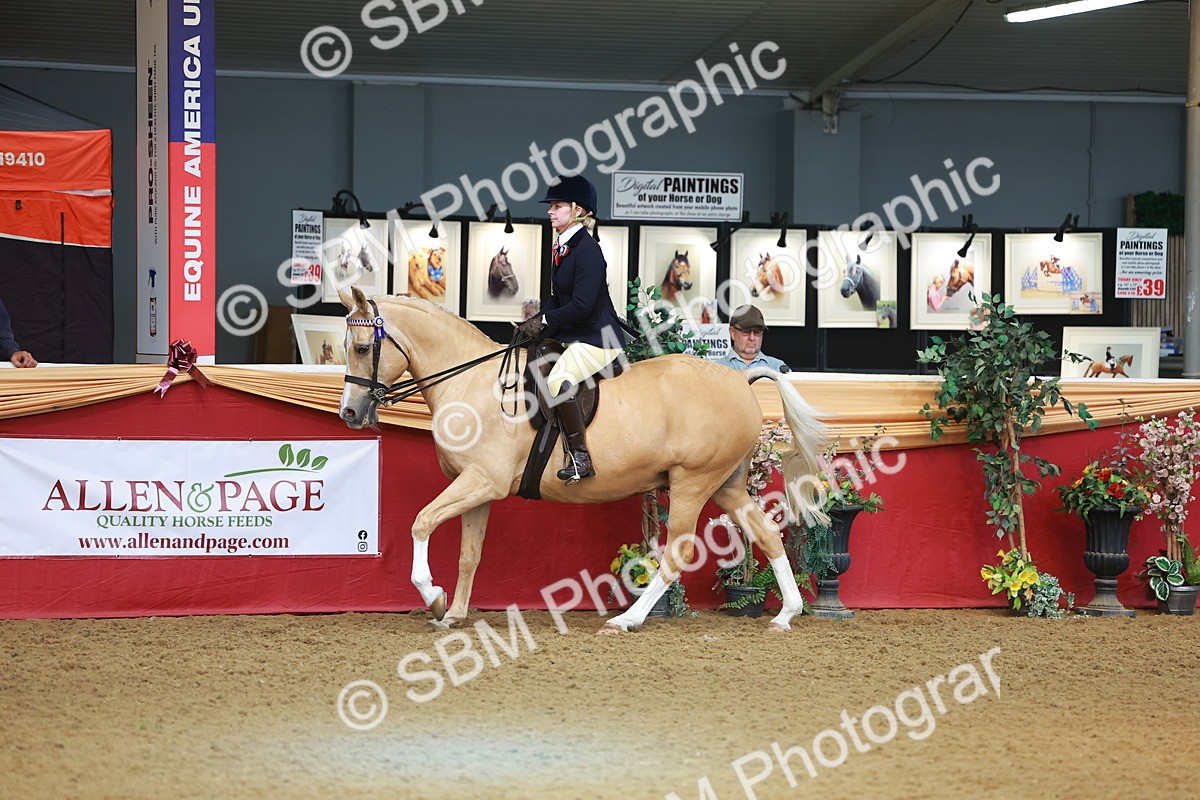 SBM_09724 - Class 102 - HOYS Veteran Qualifier - Ridden Veteran