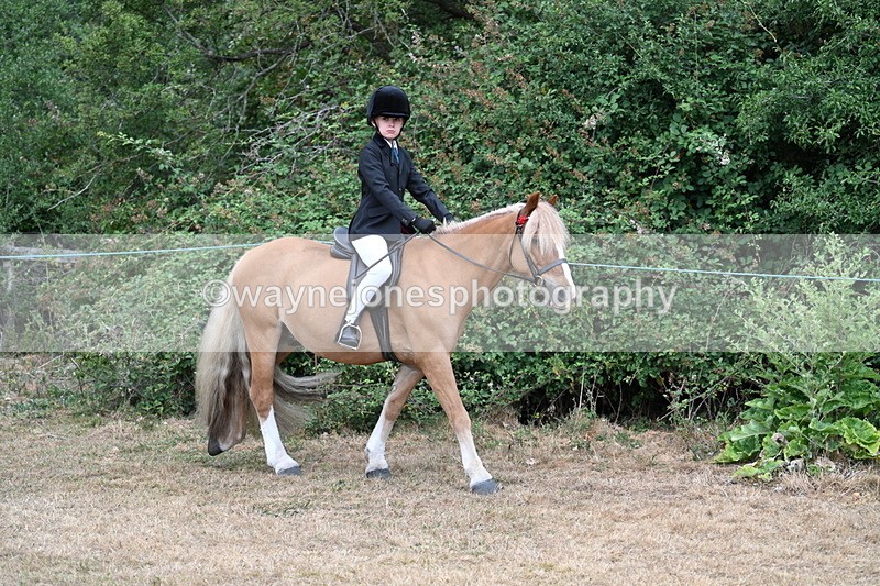 WJ7_6947 - Class 2 Best Rider