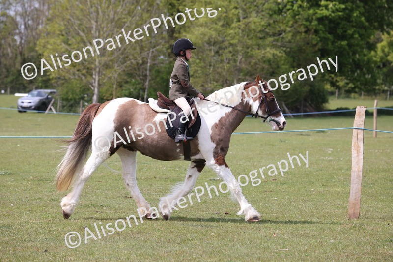 20260426-4318 - Class 34 - Best Riding Horse Over 14.2hh