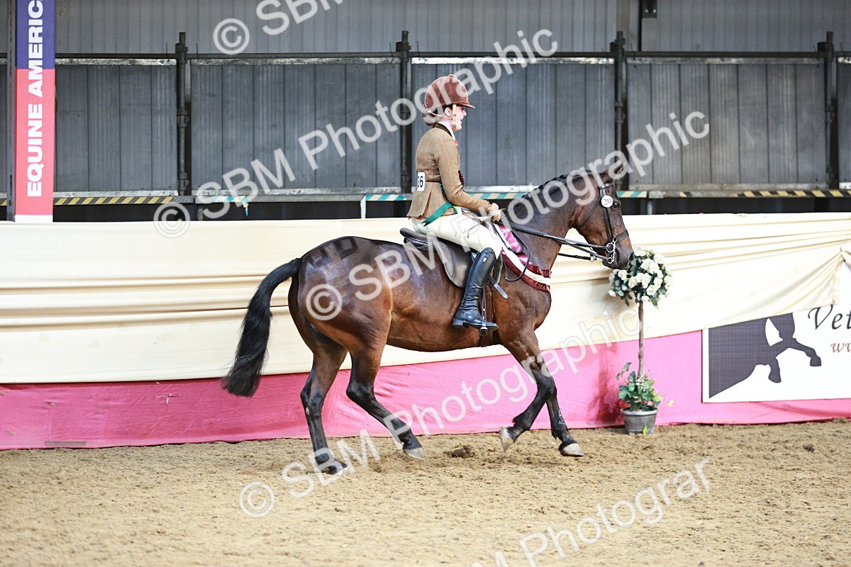 SBM_08712 - Regional Ridden Champ