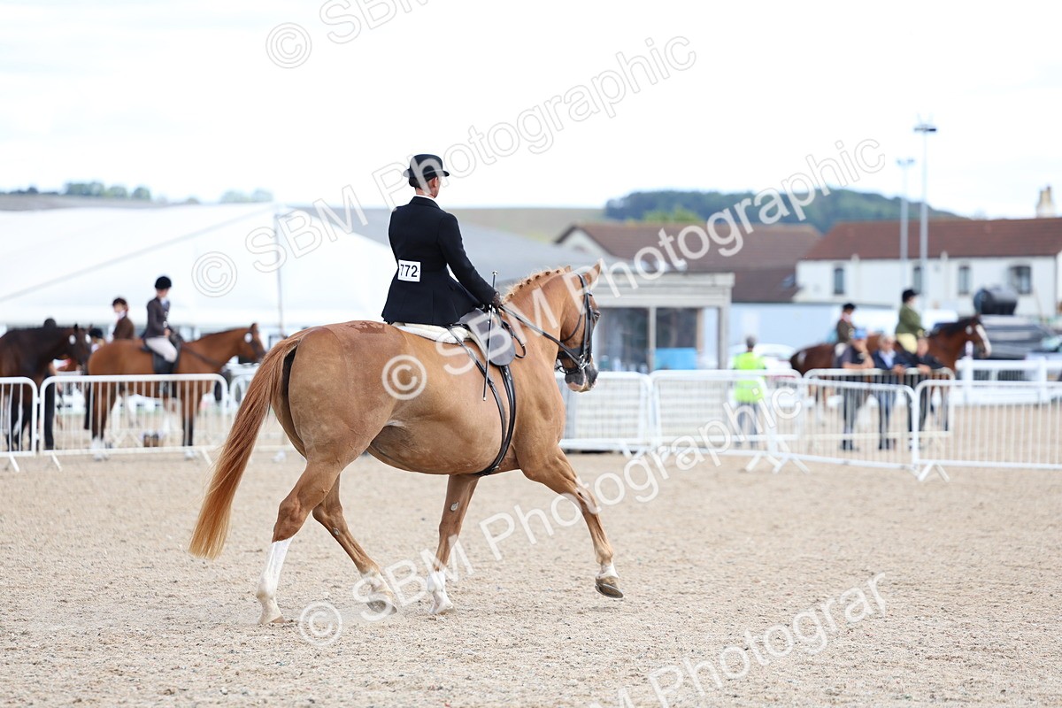 SBM_17220 - Class 315 - Best Horse - Rider Combination