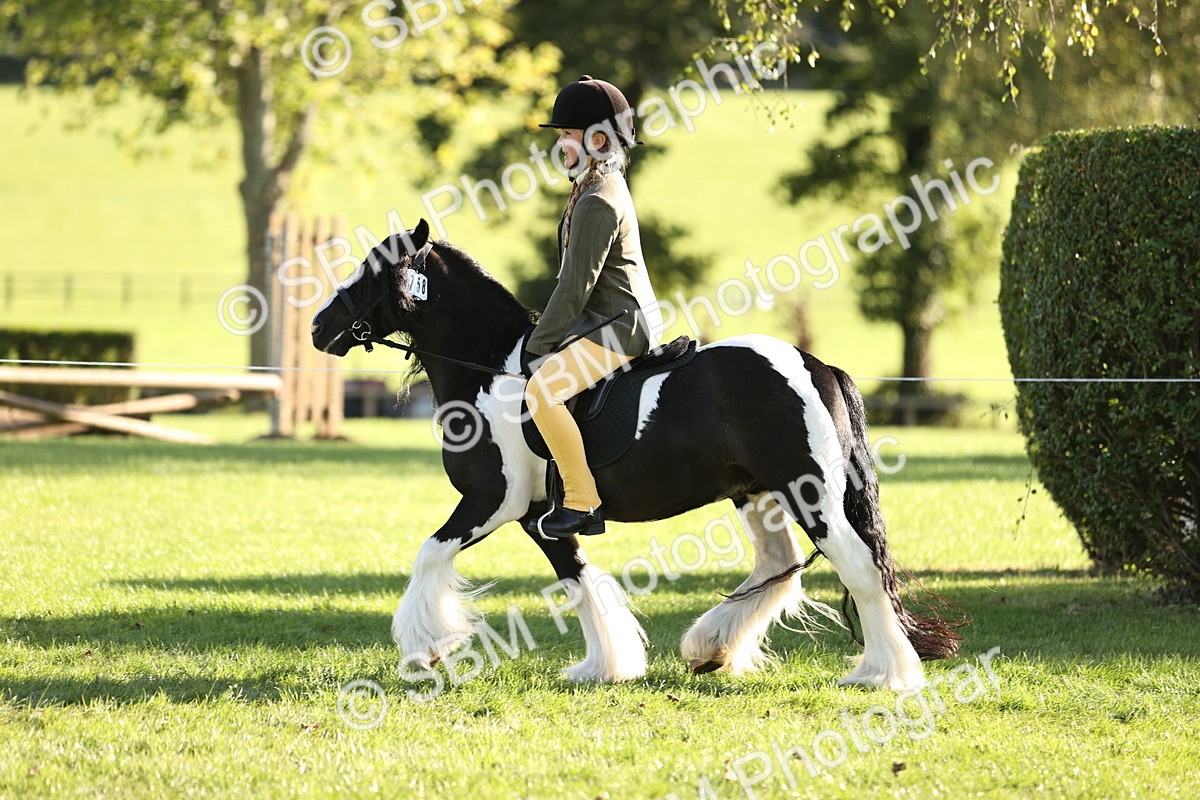 SBM_29424 - S7 - Novice & Newcomers Ridden Pony