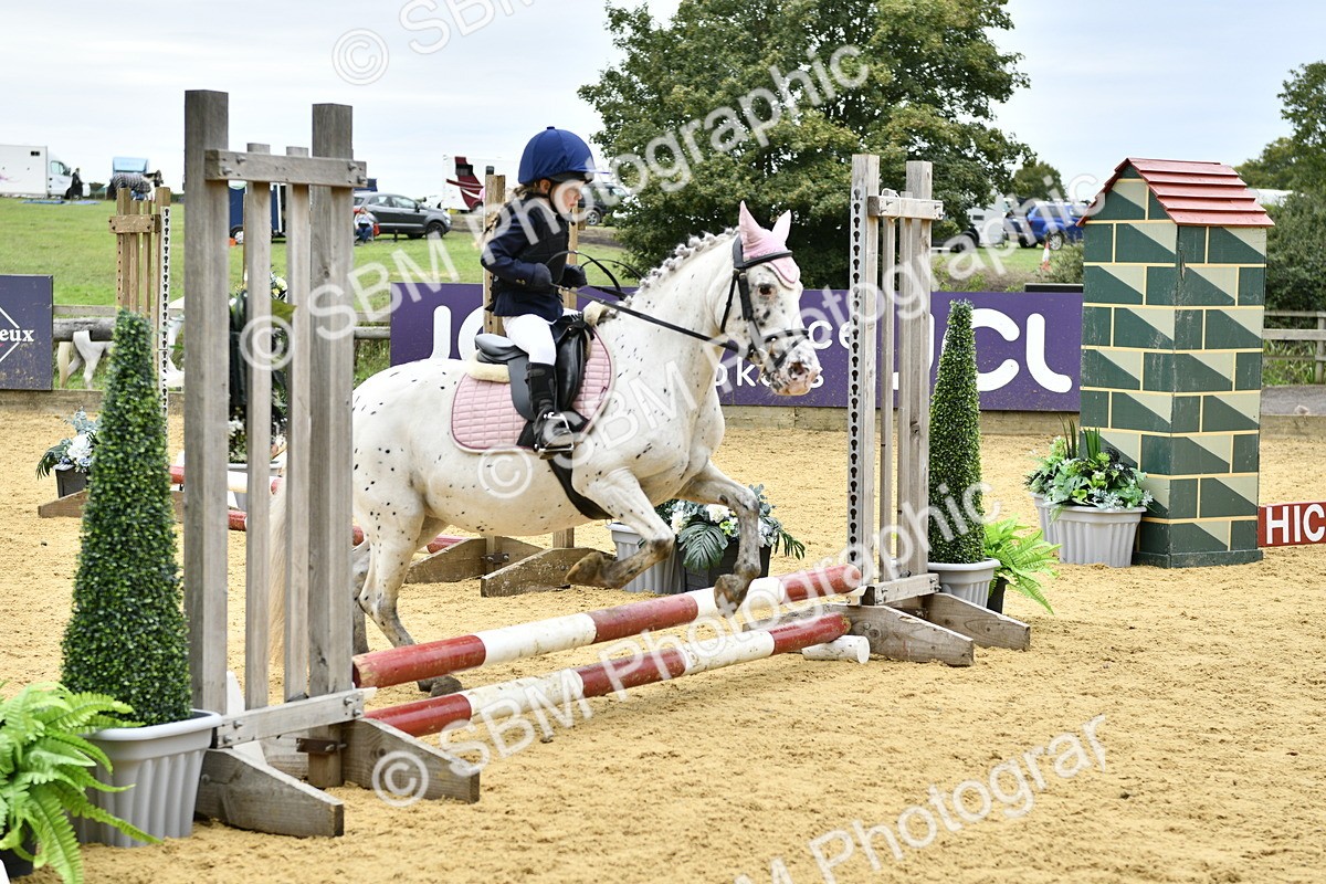 SBM_66153 - J2a mini Tour Junior Pony 30cm Championship