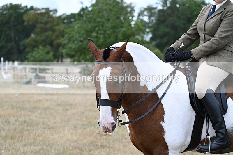 WJ7_5318 - Class 12 Ridden Cob
