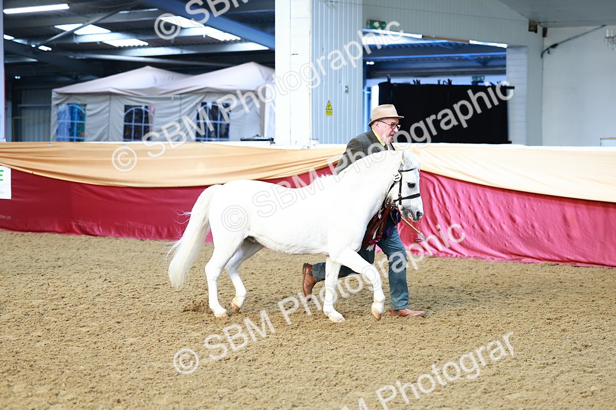 SBM_21943 - Class 901 - Supreme Final - IH  Diamond