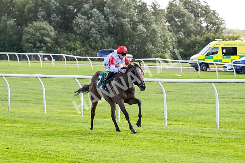 080926-Race 2-Queen Sana-1890 - Race 2 2.28pm Racing TV Club Day Restricted Maiden Stakes