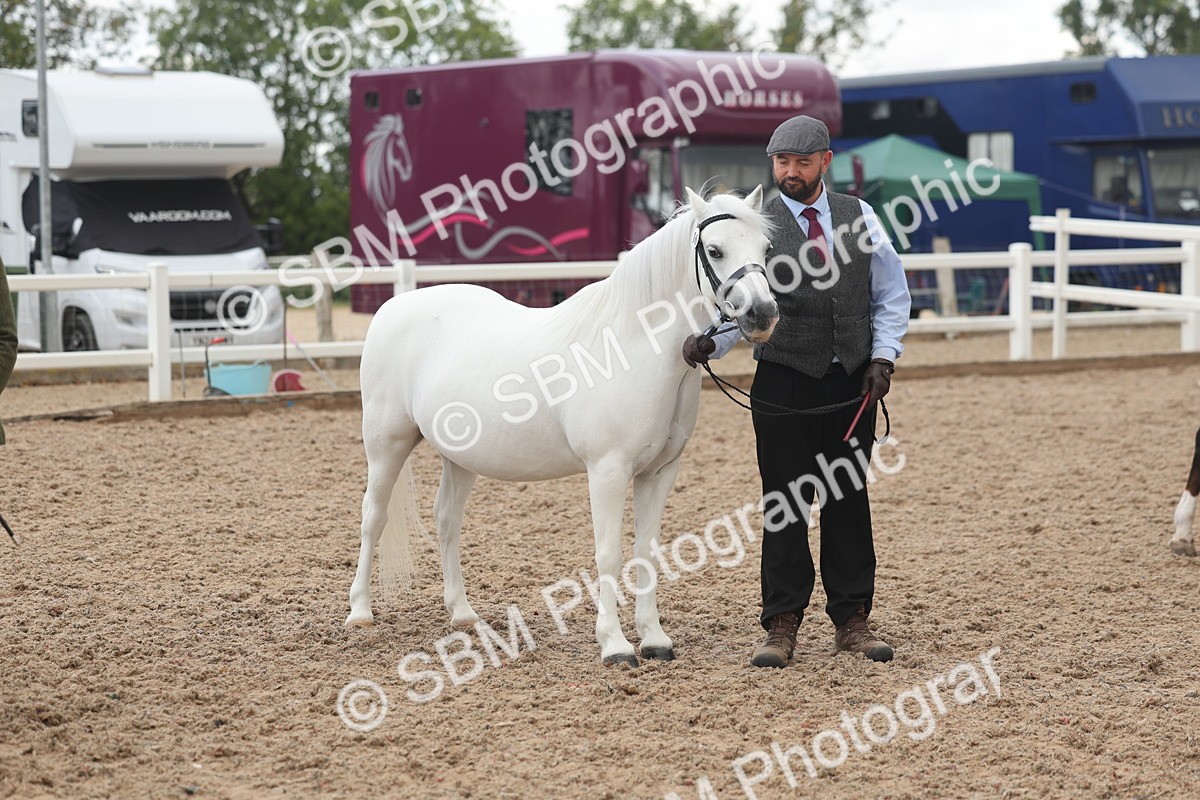 SBM_03274 - Class 16 - IH M&M Wildcard