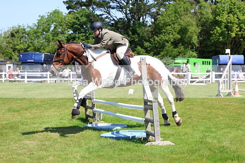 3E7A6876 - Class 30: Novice Working Hunter