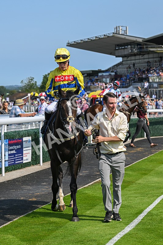 300724-Race 3-Forager-9422 - Race 3