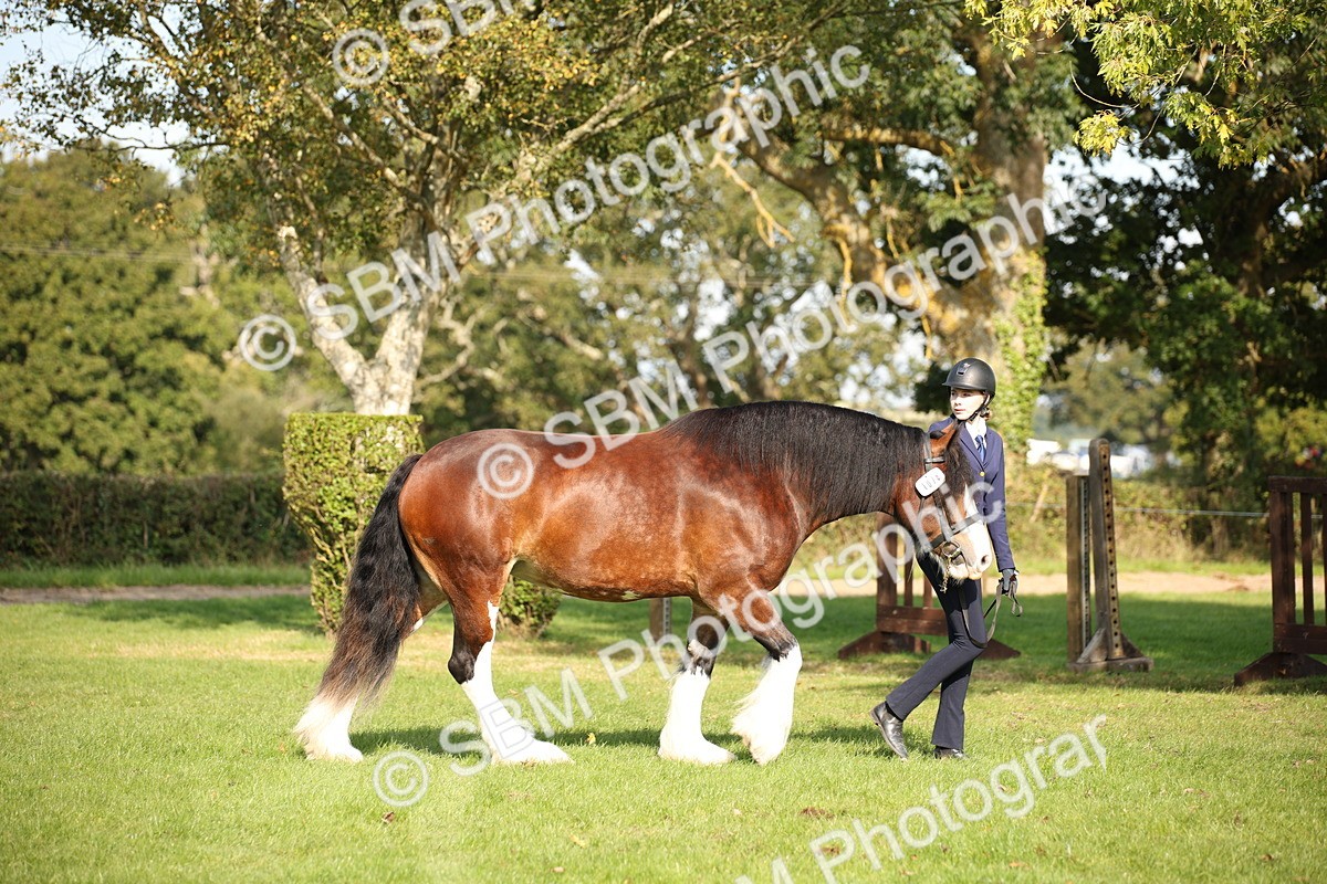 SBM_62149 - S55 - Traditional Cob In Hand