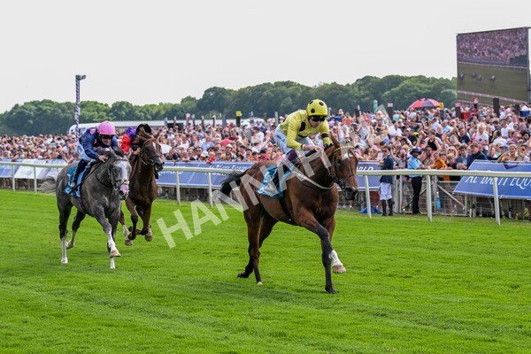 280625-Race 4-Hankelow-0327 - Race 4 3.40pm Al Basti Equiworld Dubai Novice Stakes