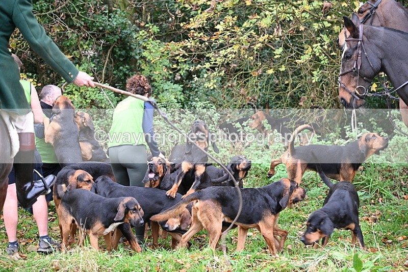 WJ6_8532 - Meet