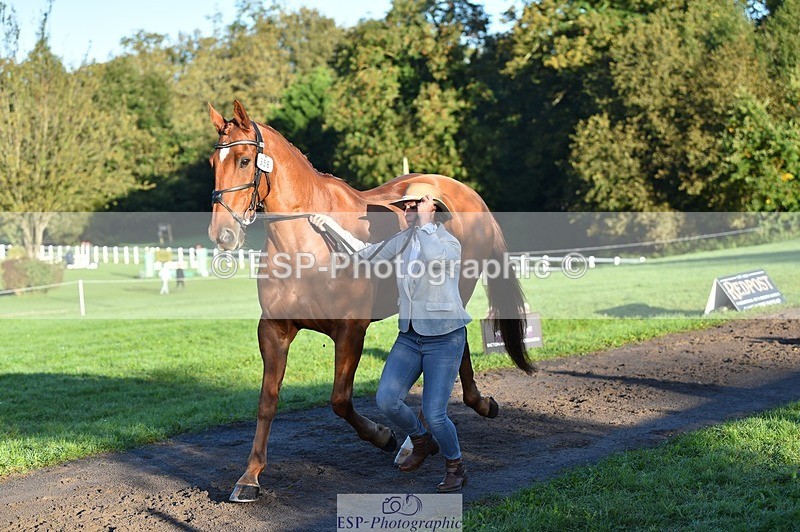 231022-090908-21592 - 656-DUNARD.RED.KNIGHT-Naomi.Watkins-TrotUp+SJ