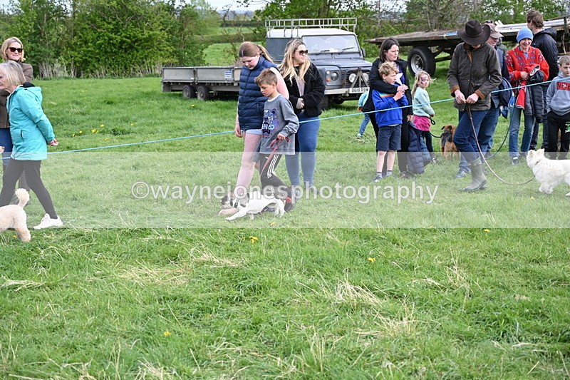 WJ6_8509 - Class 6 Best Rescue