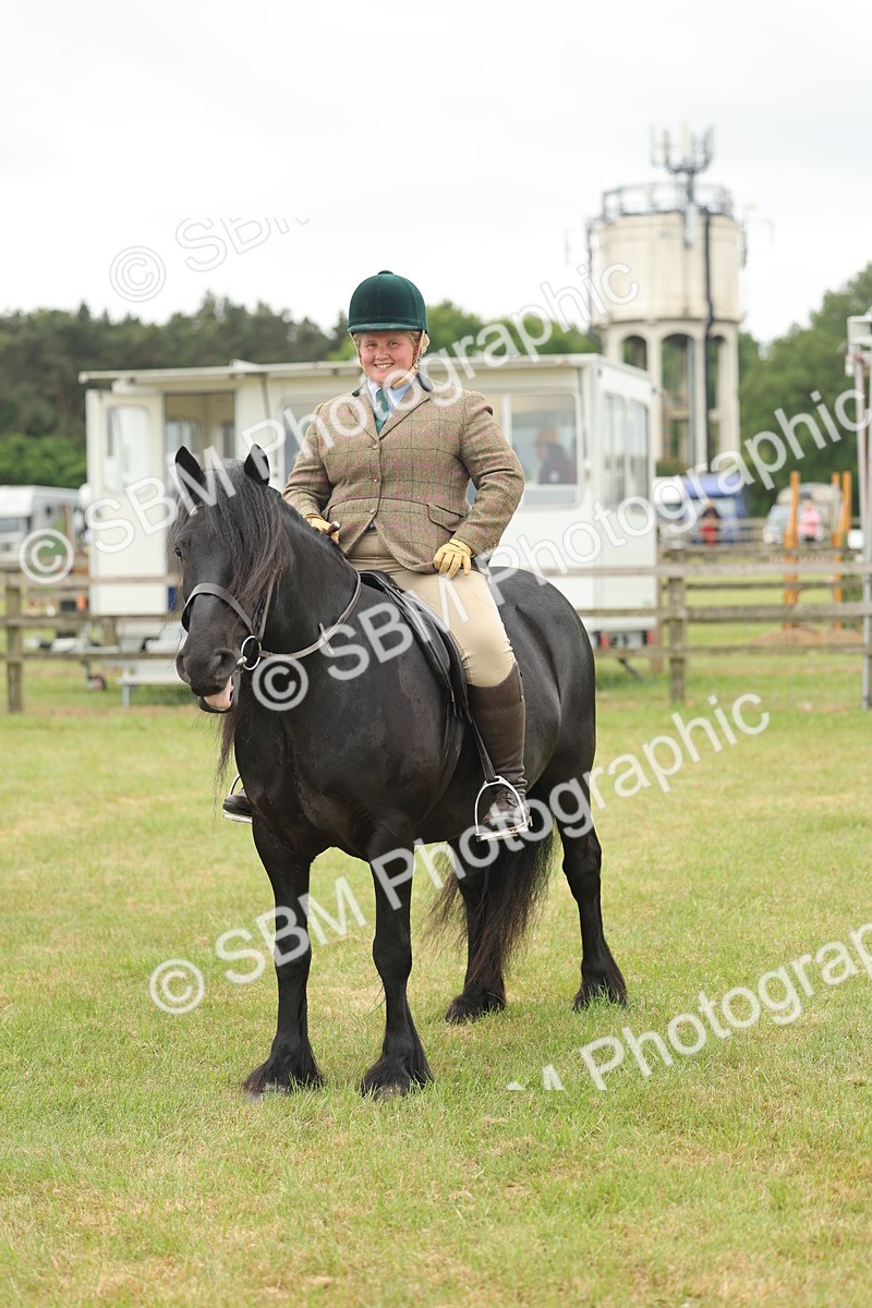 SBM_09022 - Class 78-80 - Ridden M&M Non Welsh Ponies