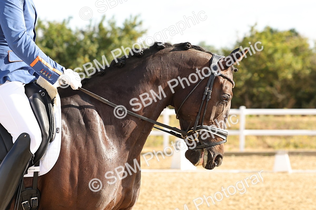 SBM_003024 - Class 3 - N4