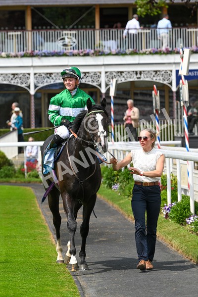 310525-Race 2-Tadej-9031 - Race 2 2.05pm Irish Thoroughbred Marketing EBF Restricted Novice Stakes