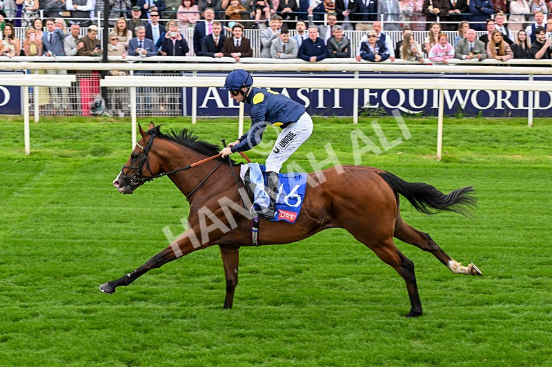 130626-Race 2-Extremely Zain-0922 - Race 2 14.25pm Sky Bet Supporting Macmillan Handicap