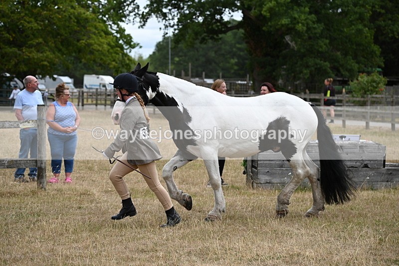 WJ6_8381 - Class 10 Coloured in Hand