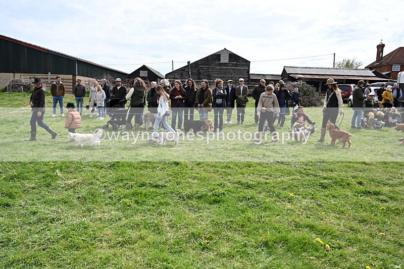 WJ6_8227 - Class 4 Prettiest Bitch