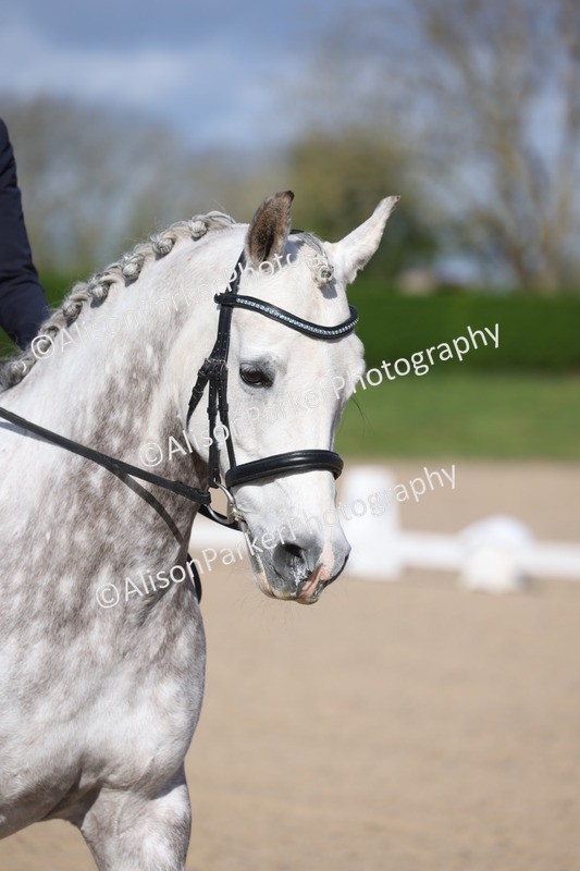 20260405-0080 - Class 1 - Prelim 5