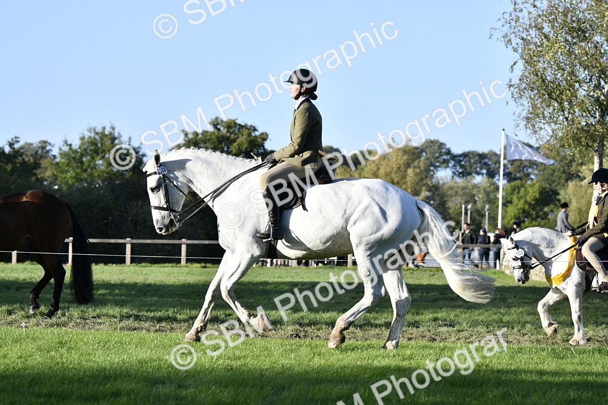 SBM_53521 - S14 - Riding Club Horse