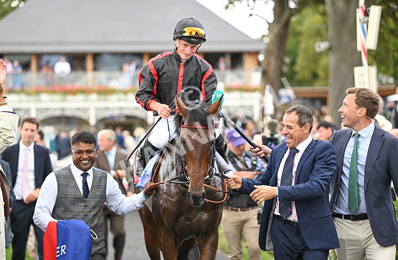 190826-096 Maltese Cross - Race 3 15.00pm Sky Bet Great Voltigeur Stakes