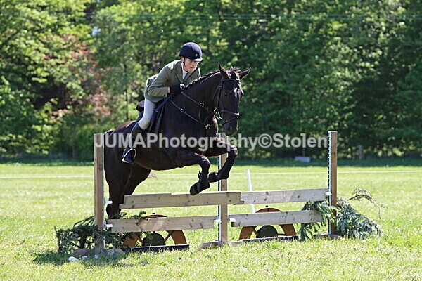 IMG_4144 - Working Hunter