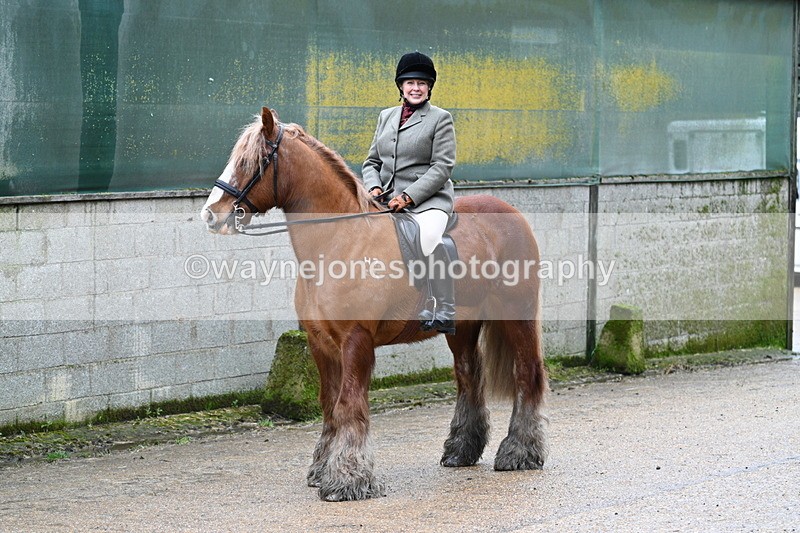 WJ7_8715 - Berks & Bucks - Rowles Farm 15-02-26